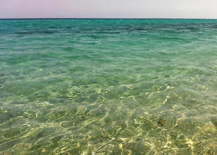 Dionysos Polichrono Hotel