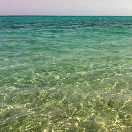 Dionysos Polichrono Ξενοδοχείο