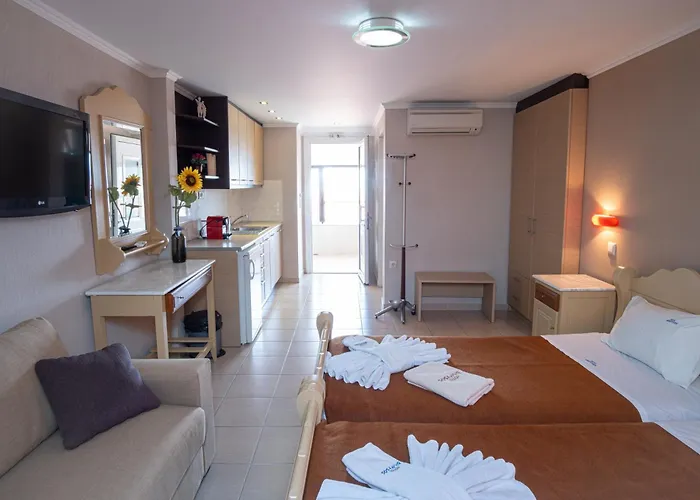 Dionysos Polichrono 3*